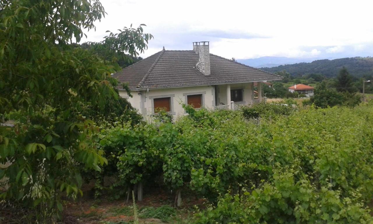 Villa Con Piscina En Panton Ribeira Sacra Galicia Ideal Para Familias Ngoại thất bức ảnh